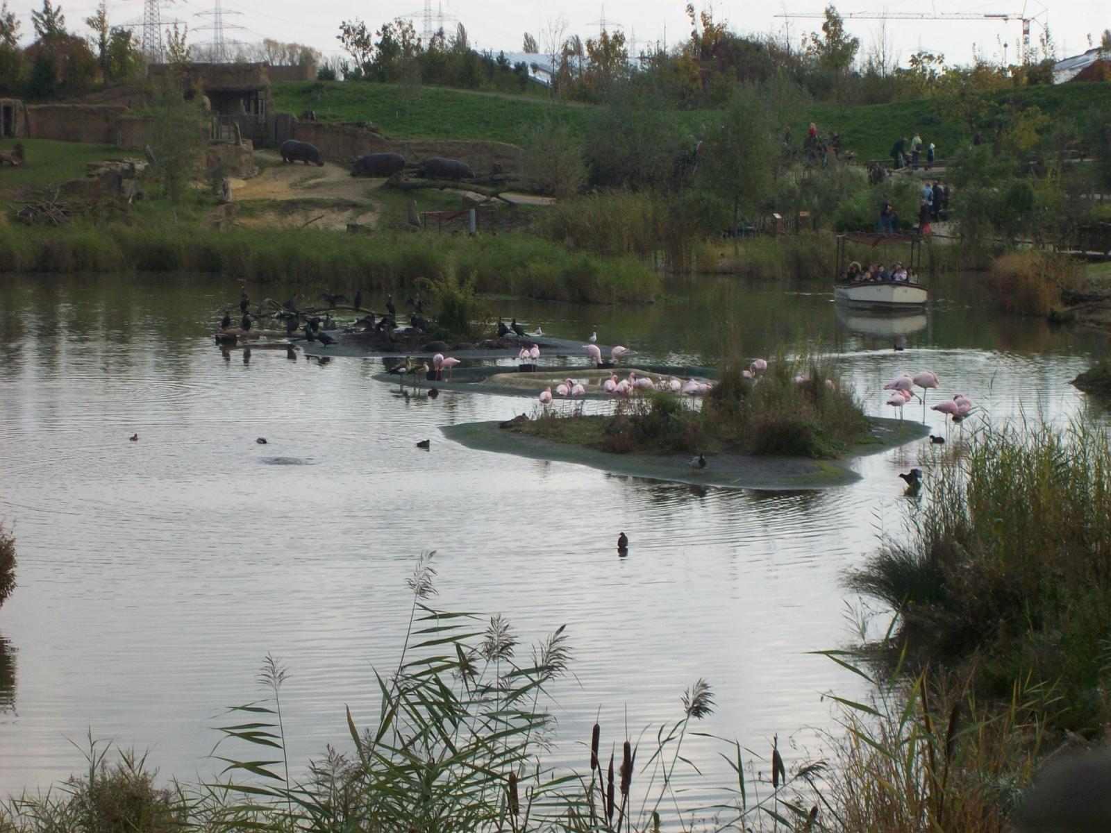 Zoom 18.10.2008-166.jpg